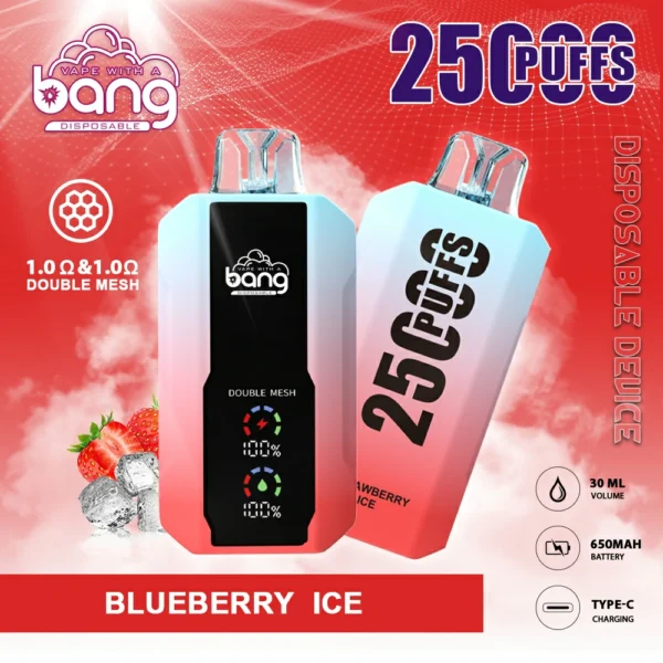 Bang 25000 Puffs 11